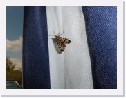 HPIM8144 * Fremde Tiere aus fernen Ländern * 2592 x 1936 * (2.84MB)