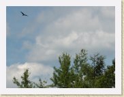 HPIM7738_ed * 1280 x 960 * (153KB)